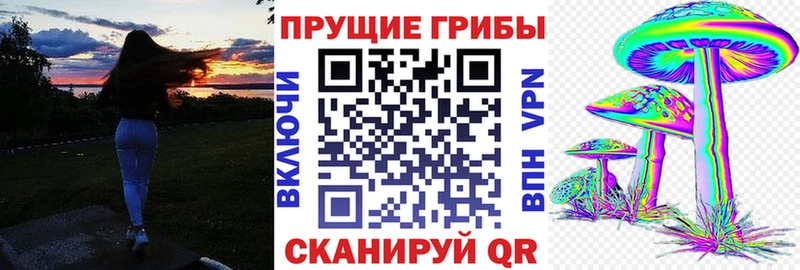 Купить  Беслан  Галлюциногенные грибы прущие грибы 